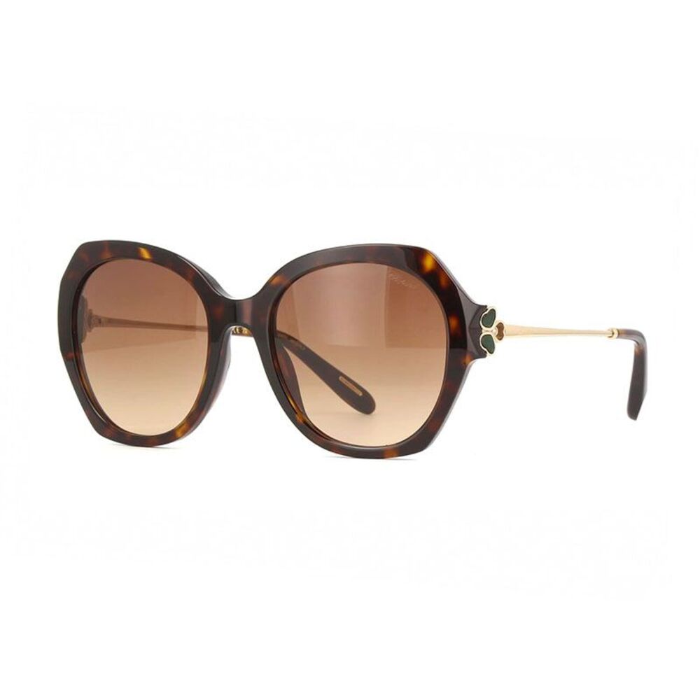 Chopard Sunglasses Round Full Rim, Shiny Brown Havana/Gold Frame and Brown